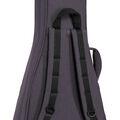 Back of a Case for a Martin Guitar image number 6